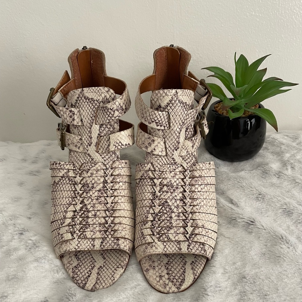 Zodiac Woman Snake Print Gladiator Sandal Size; 7
